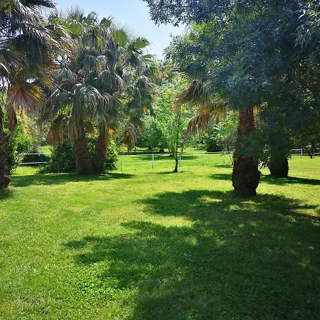 Bed & Breakfast L'ecrin De Hyeres